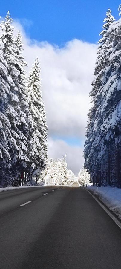 Ferienwohnung "Hirschlein" Im Schwarzwald ไบเออร์สบรอนน์ ภายนอก รูปภาพ